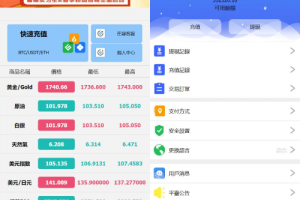 【海外微交易】全新优化版八国语言微盘系统/外汇微交易系统/投资理财源码/老陆海外源码