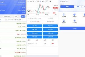 【区块链竞猜】白色区块链竞猜系统/虚拟币大小单双竞猜下注/USDT充值