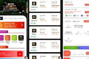 【海外点赞】多语言任务点赞系统/TIKTOK脸书任务平台/金币兑换系统/前端VUE源码