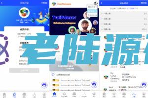 【海外多语言互助盘】海外版互助盘系统/多语言超级人脉源码/老陆海外搭建