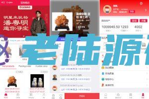 【投资理财】双语言版竞拍系统/竞拍转拍源码/竞拍商城/商场寄售系统