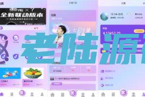 【海外刷单定制】定制版抖音刷单系统/抖音抢单刷单源码/手动自动抢单