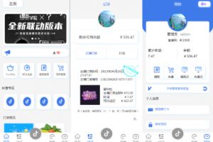 【海外刷单定制】定制版抖音刷单系统/抖音抢单刷单源码/手动自动抢单/第二套ui