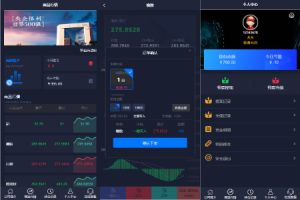 【海外多语言微交易】运营版微盘期货交易系统/微交易源码/代理后台/用户风控