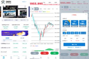 【海外多语言微交易】运营版微盘虚拟币期货黄金白银交易系统/微交易源码/代理后台/用户风控