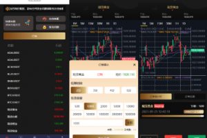 【海外单语言微交易】运营版微盘/虚拟币/期货黄金白银/交易系统/微交易源码/代理后台/用户风控