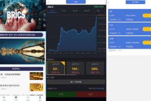 【海外多语言微交易】运营版微盘/虚拟币/期货黄金白银/交易系统/微交易源码/订单控制/投资理财