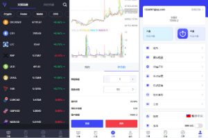 【海外多语言综合盘系统】FX7综合外汇交易软件源码/合约挂单交易/秒合约交易/k线控/海外源码/综合盘交易所/外汇