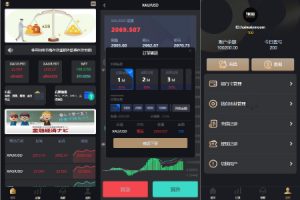 【海外多语言微交易】多语言海外微盘系统/外汇期货微交易/时间盘系统