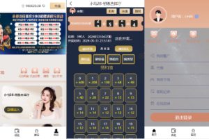 【海外多语言28系统】海外cp系统/时时彩游戏/28游戏/预设开奖/28竞猜源码/批量预设开奖/海外源码
