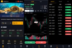 【海外多语言微交易】多语言海外微盘系统/虚拟币外汇微交易/秒合约时间盘/海外源码