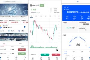 【海外多语言微交易】新版微交易微盘系统/外汇期货贵金属虚拟币微盘源码