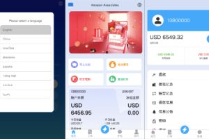 【海外多语言抢单商城】多语言抢单刷单系统/海外抢单商城/订单匹配源码/打针/前端vue