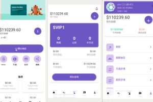 【海外多语言抢单商城】最新UI定制uniapp多语言海外刷单/抢单系统/订单自动匹配系统/分组/调试模式/海外源码