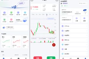 【海外期货微盘微交易】期货系统/期货微交易/秒合约时间盘/海外源码