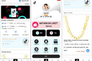 【海外多语言抢单商城】最新tiktok多语言海外刷单/抢单系统/订单自动匹配系统/连单卡单/海外源码