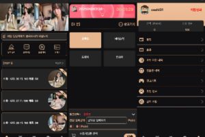【海外韩国黑色空降约炮任务系统】前端vue版空降约炮同城任务源码/空降任务系统cai/带控完美运营/多语言/全开源