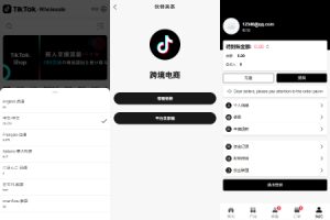 【海外多语言跨境电商】新版Tiktok跨境商城系统/多语言tiktok商城/内置客服/内嵌tiktok