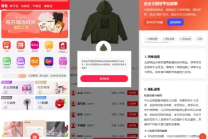 【单语言拼团回购商城】海外拼单返利源码/拼团成功自动回购/多功能跨境电商系统